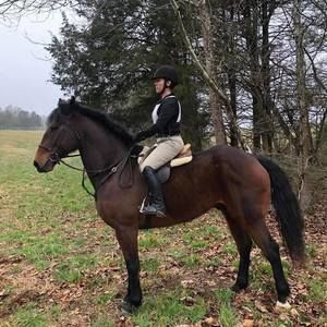 Meet your Posher, Kina